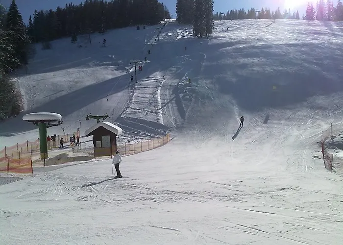 Hiša za goste Pikapolonca Maribor